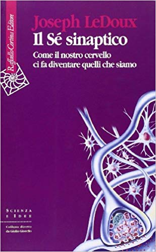IL SE' SINAPTICO. Come il nostro cervello ci fa diventare quelli che siamo