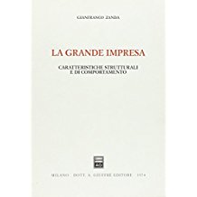 La grande impresa. Caratteristiche strutturali e di comportamento