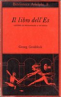 IL LIBRO DELL'ES. Lettere di psicoanalisi a un'amica