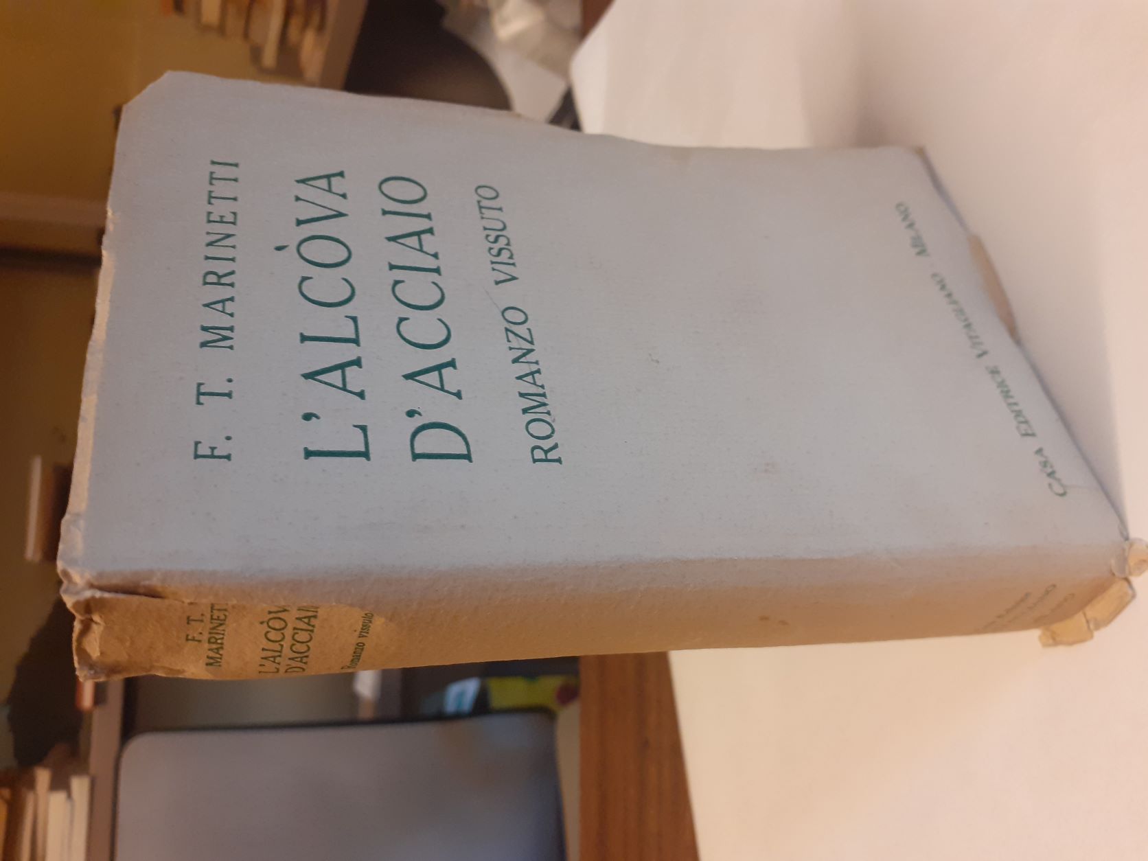 L'ALCOVA D'ACCIAIO. Romanzo vissuto