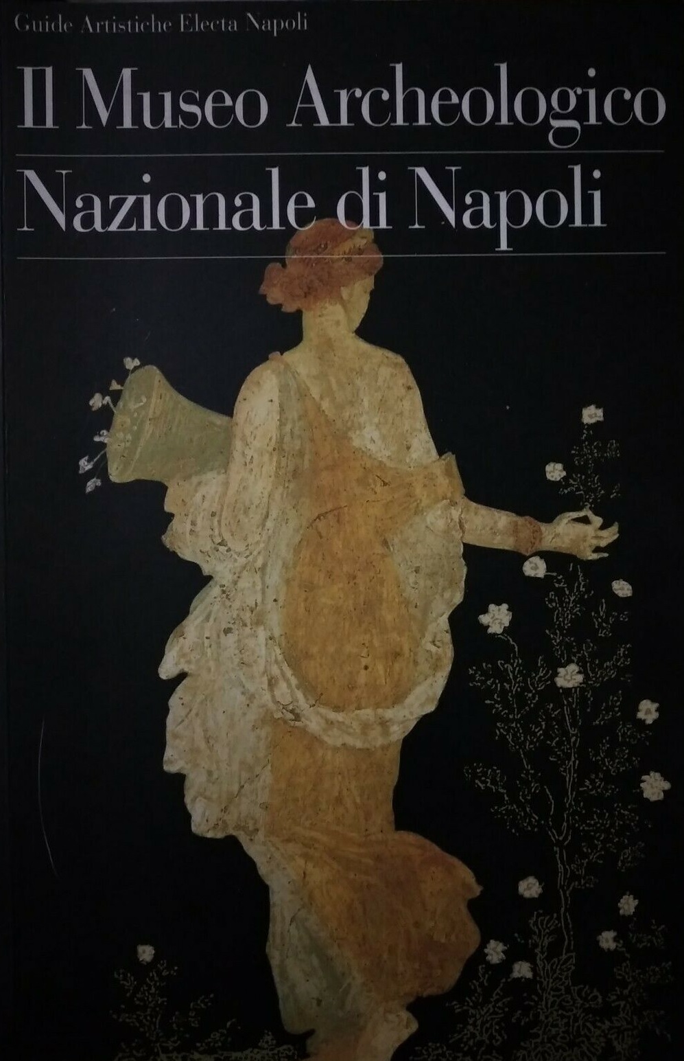 IL MUSEO ARCHEOLOGICO NAZIONALE DI NAPOLI
