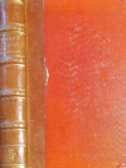 ILIADE. Traduzione di Vincenzo Monti