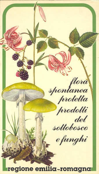 FLORA SPONTANEA PROTETTA, PRODOTTI DEL SOTTOBOSCO E FUNGHI