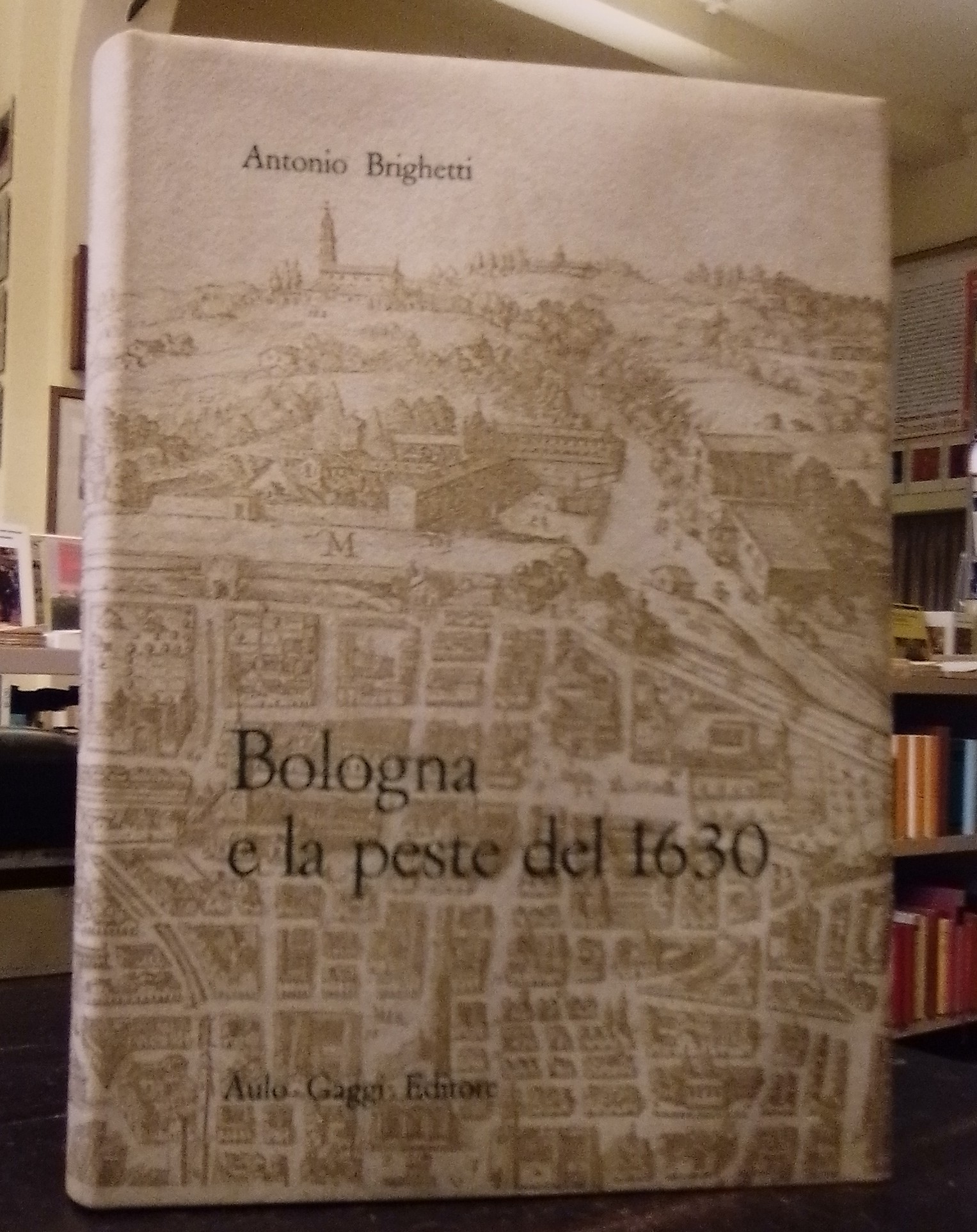 Boiserie Libreria biblioteca farmacia origine Emilia epoca 700 - Gabriele  Gogna - Esperto di Antiquariato a Milano e in Tutta Italia dal 1959